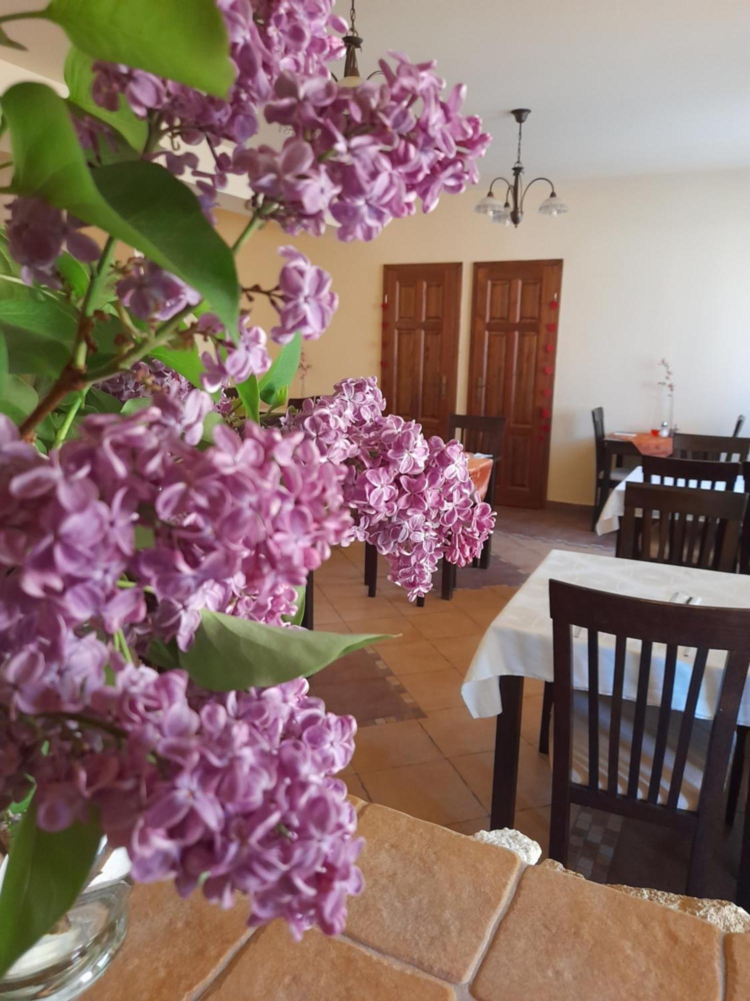 Szilvásvárad 和睦健康旅馆酒店 外观 照片